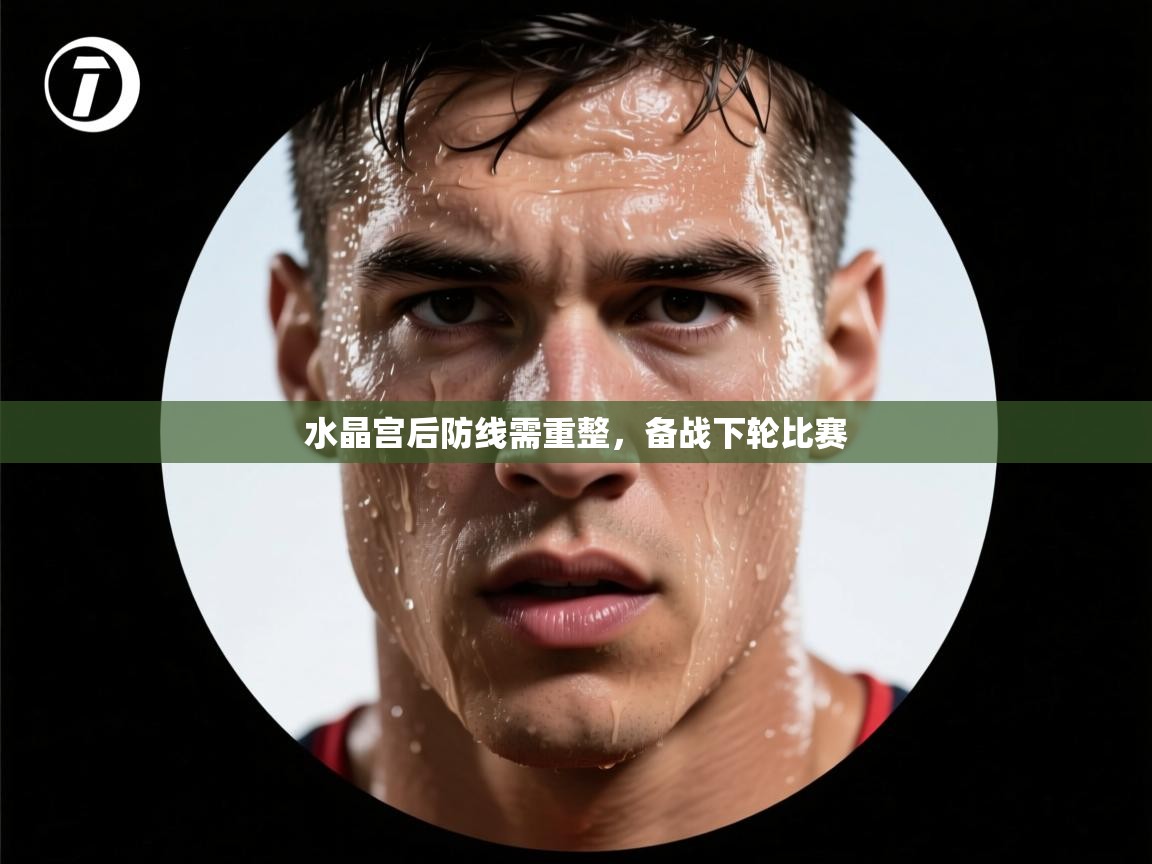 水晶宫后防线需重整，备战下轮比赛  第1张