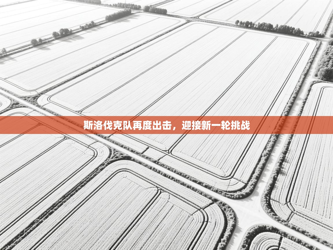 斯洛伐克队再度出击,迎接新一轮挑战 第1张